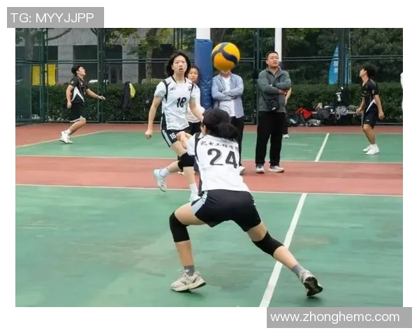 排球盛宴：深入杭州排球队的极速训练与比赛背后故事