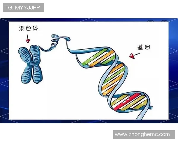 广州羽毛球队技术解析：从基础训练到比赛策略的全面探讨